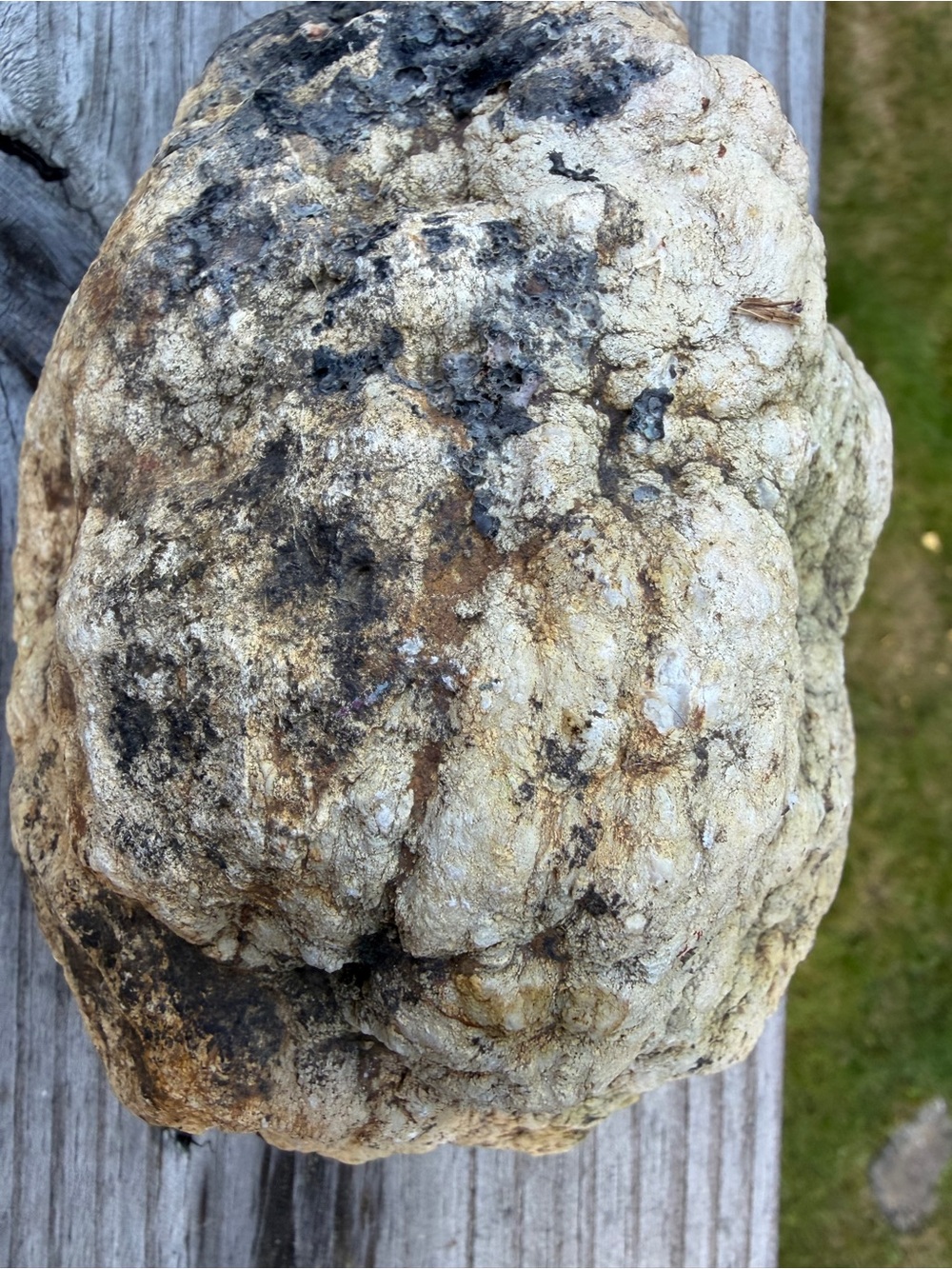 Large Druzy Crystal Geode - Picture 6 of 10
